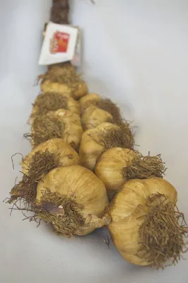 Tresse ail d'Arleux fumé à l'ancienne 45 têtes labellisé IGP