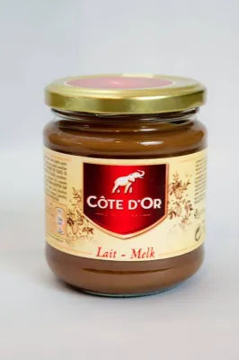 Pâte à tartiner Côte d'Or au lait 300g