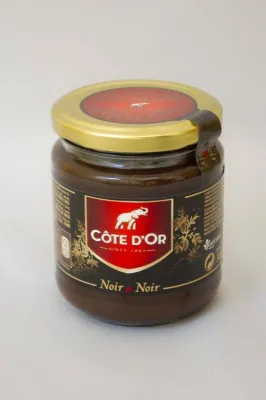 Pâte à tartiner Côte d'Or Noir de Noir 300g